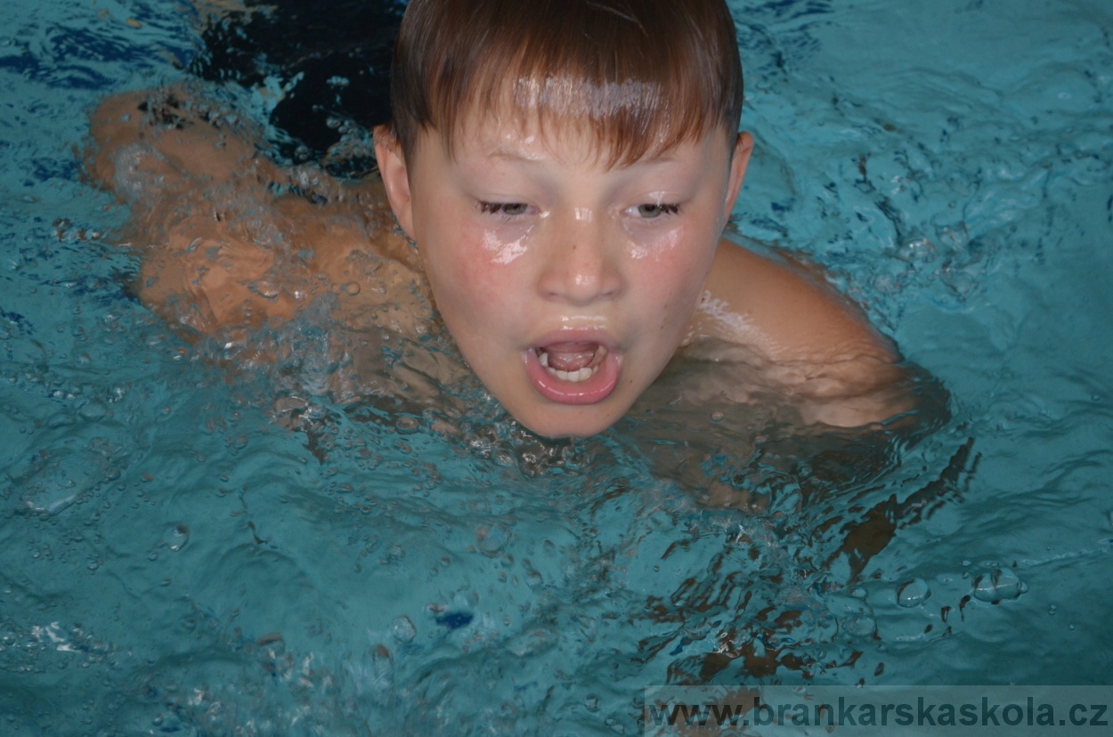 BFŠJCH - Léto 2016 - 2.8.2016