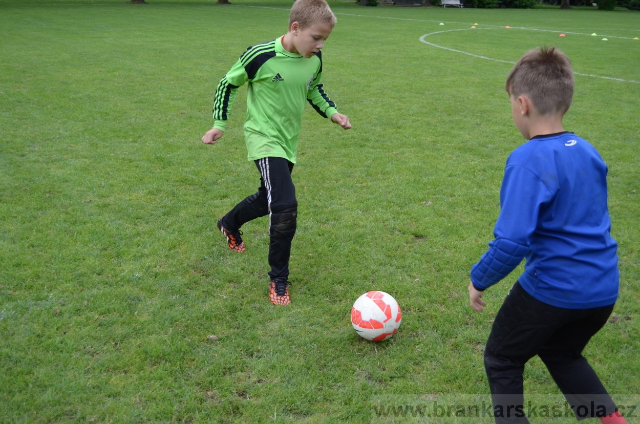 BFŠJCH - Léto 2016 - 2.8.2016