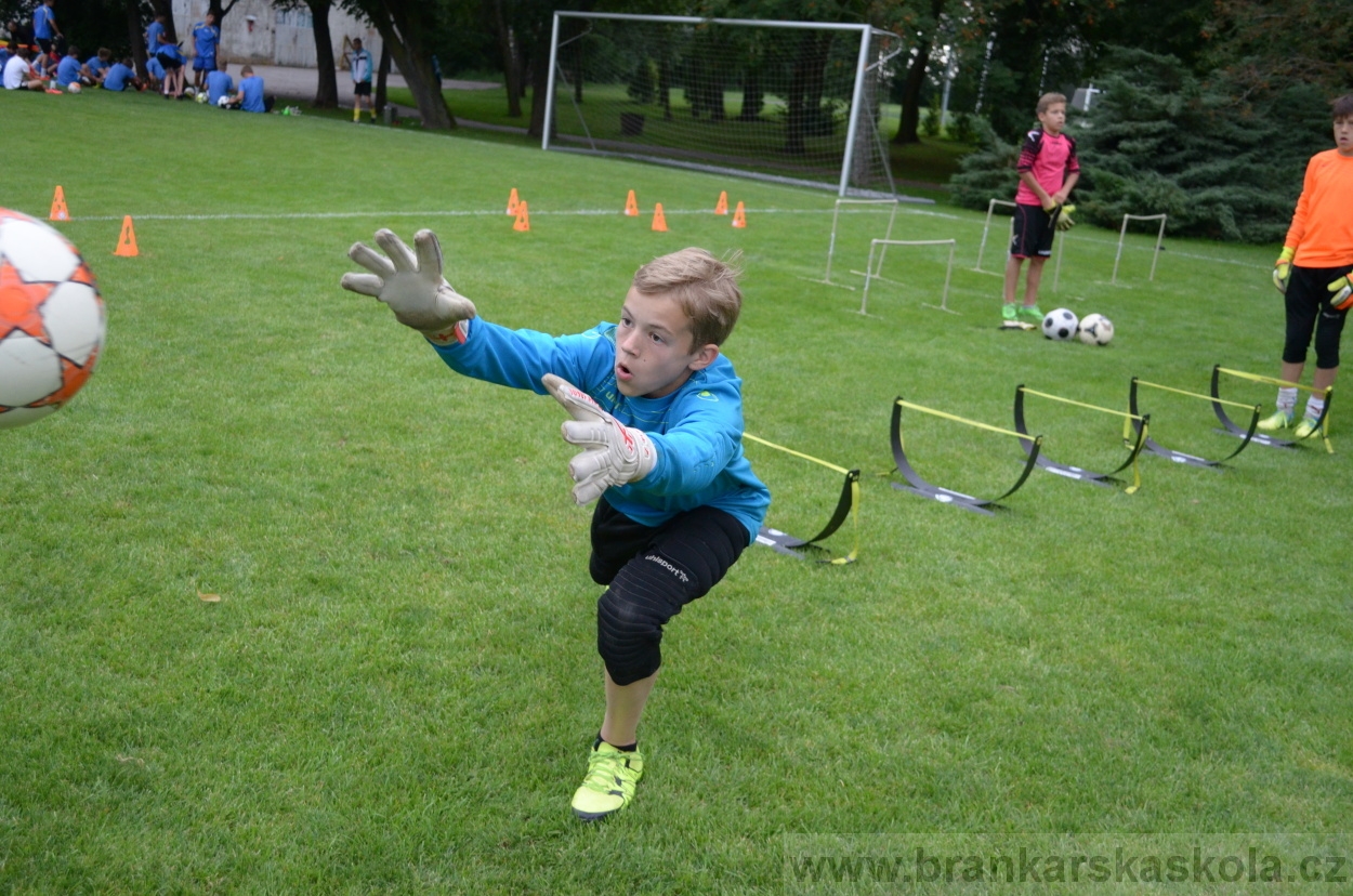 BFŠJCH - Léto 2016 - 2.8.2016