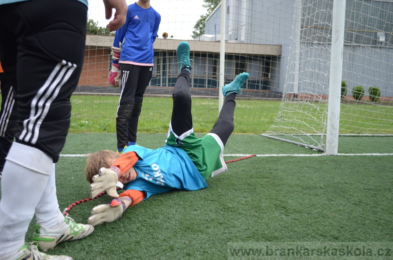 BFŠJCH - Léto 2016 - 3.8.2016