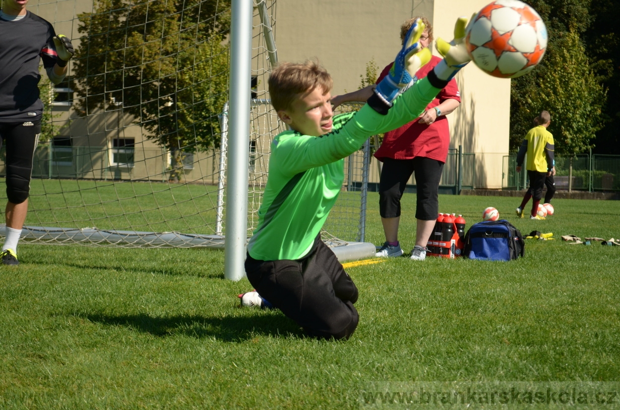 BFŠJCH - Léto 2016 - 26.8.2016