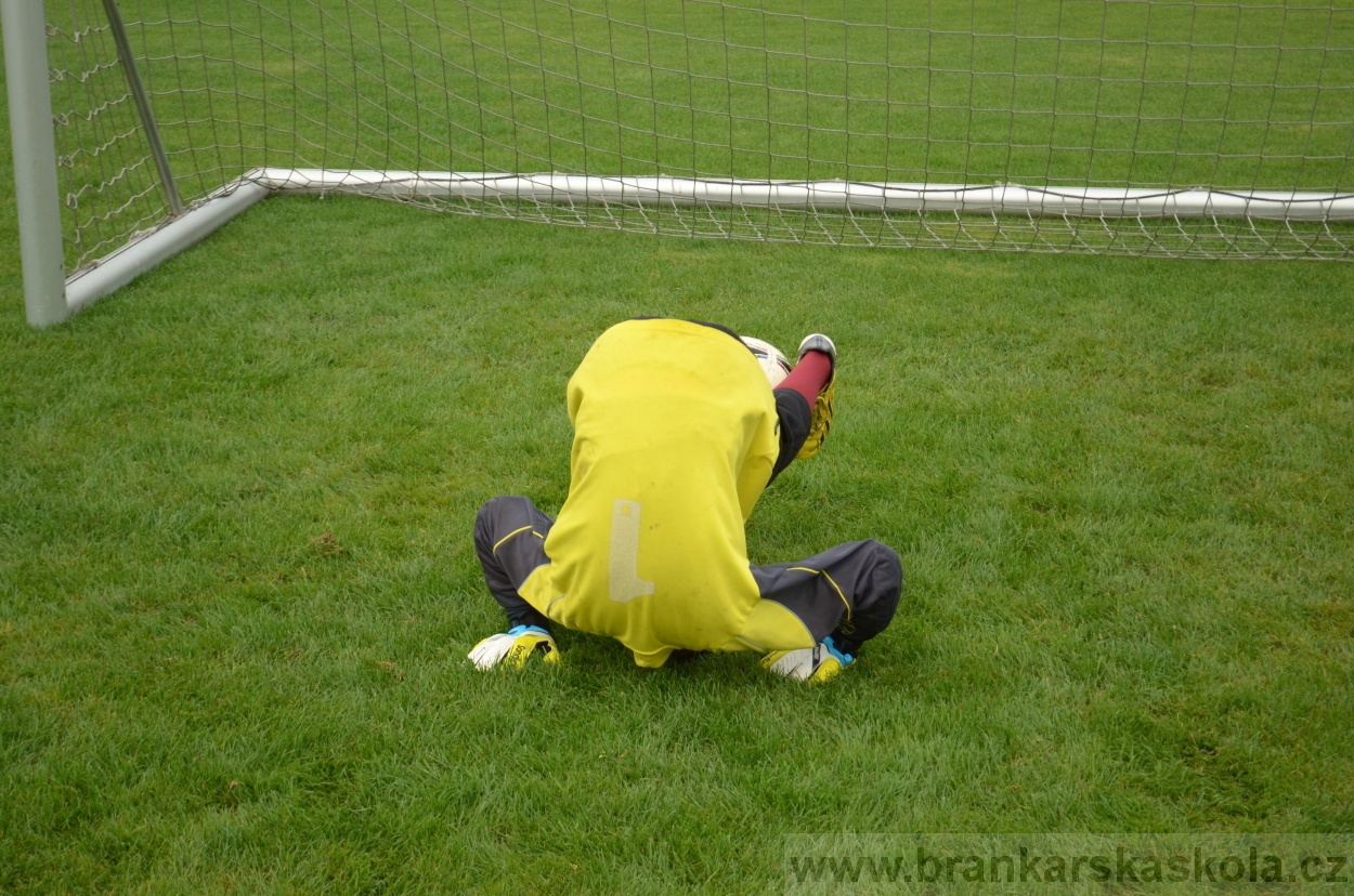 BFŠJCH - Léto 2016 - 29.8.2016