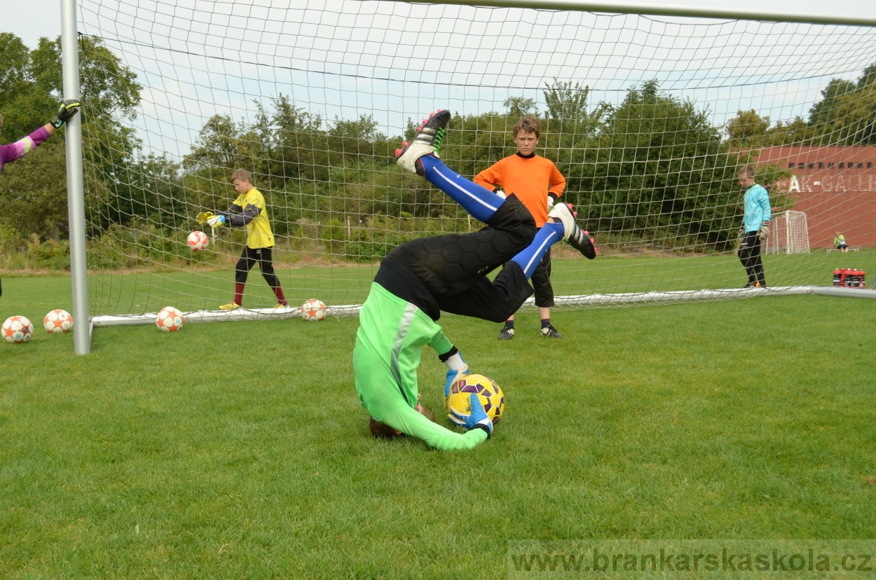 BFŠJCH - Léto 2016 - 29.8.2016