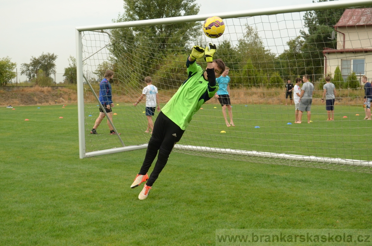 BFŠJCH - Léto 2016 - 29.8.2016