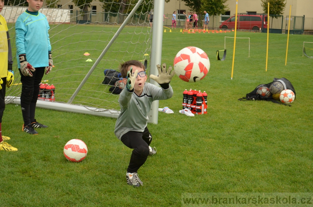 BFŠJCH - Léto 2016 - 29.8.2016