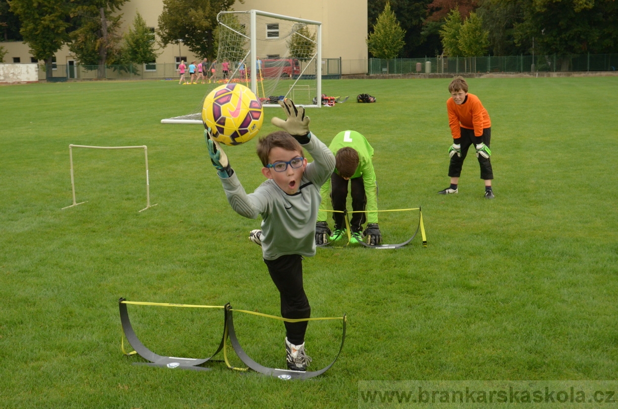 BFŠJCH - Léto 2016 - 29.8.2016