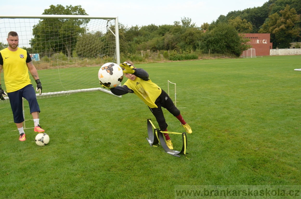 BFŠJCH - Léto 2016 - 29.8.2016