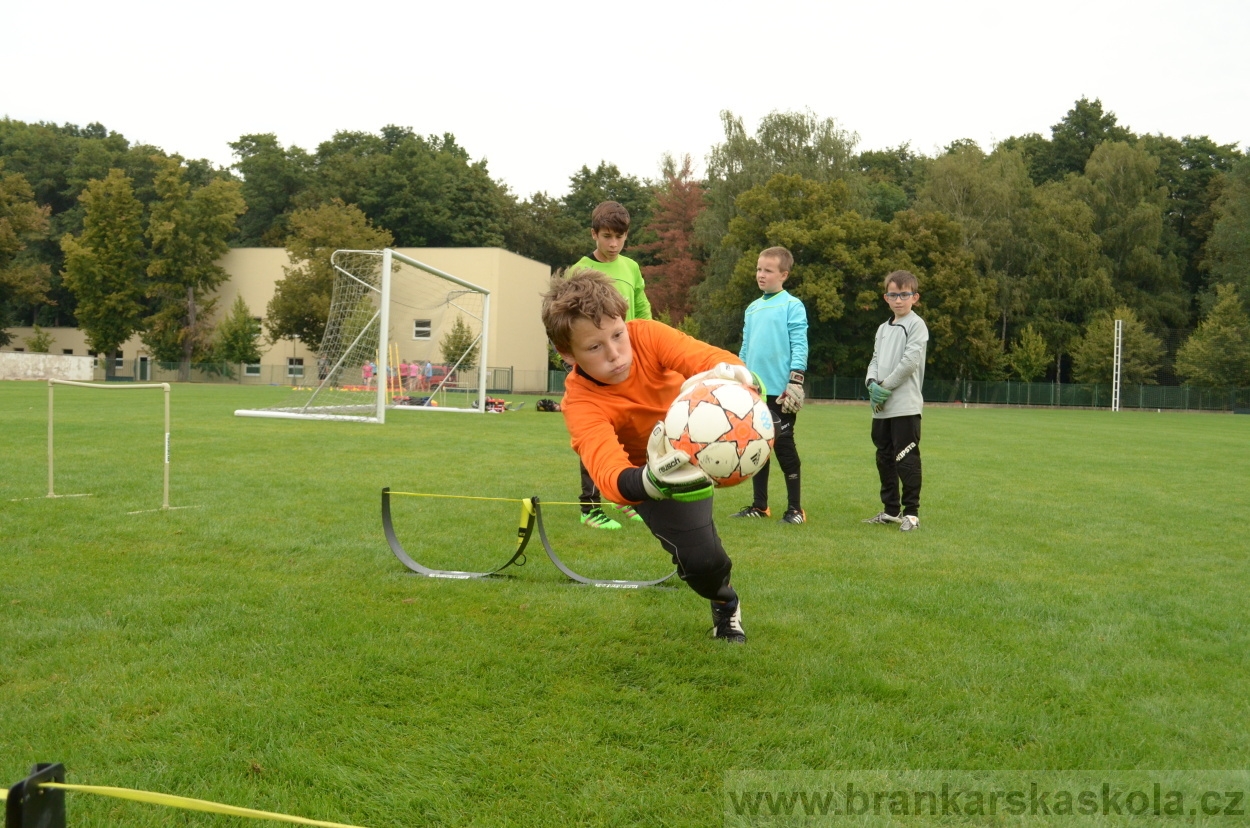 BFŠJCH - Léto 2016 - 29.8.2016