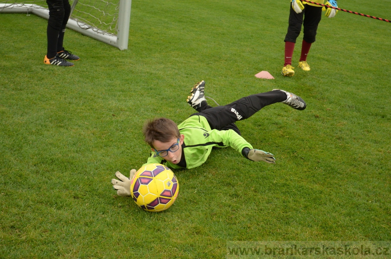 BFŠJCH - Léto 2016 - 29.8.2016