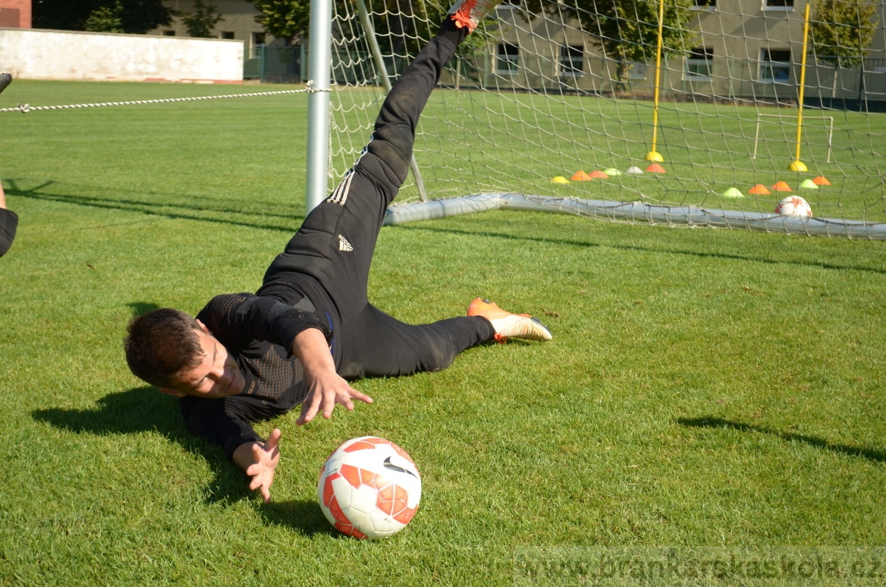 BFŠJCH - Léto 2016 - 30.8.2016