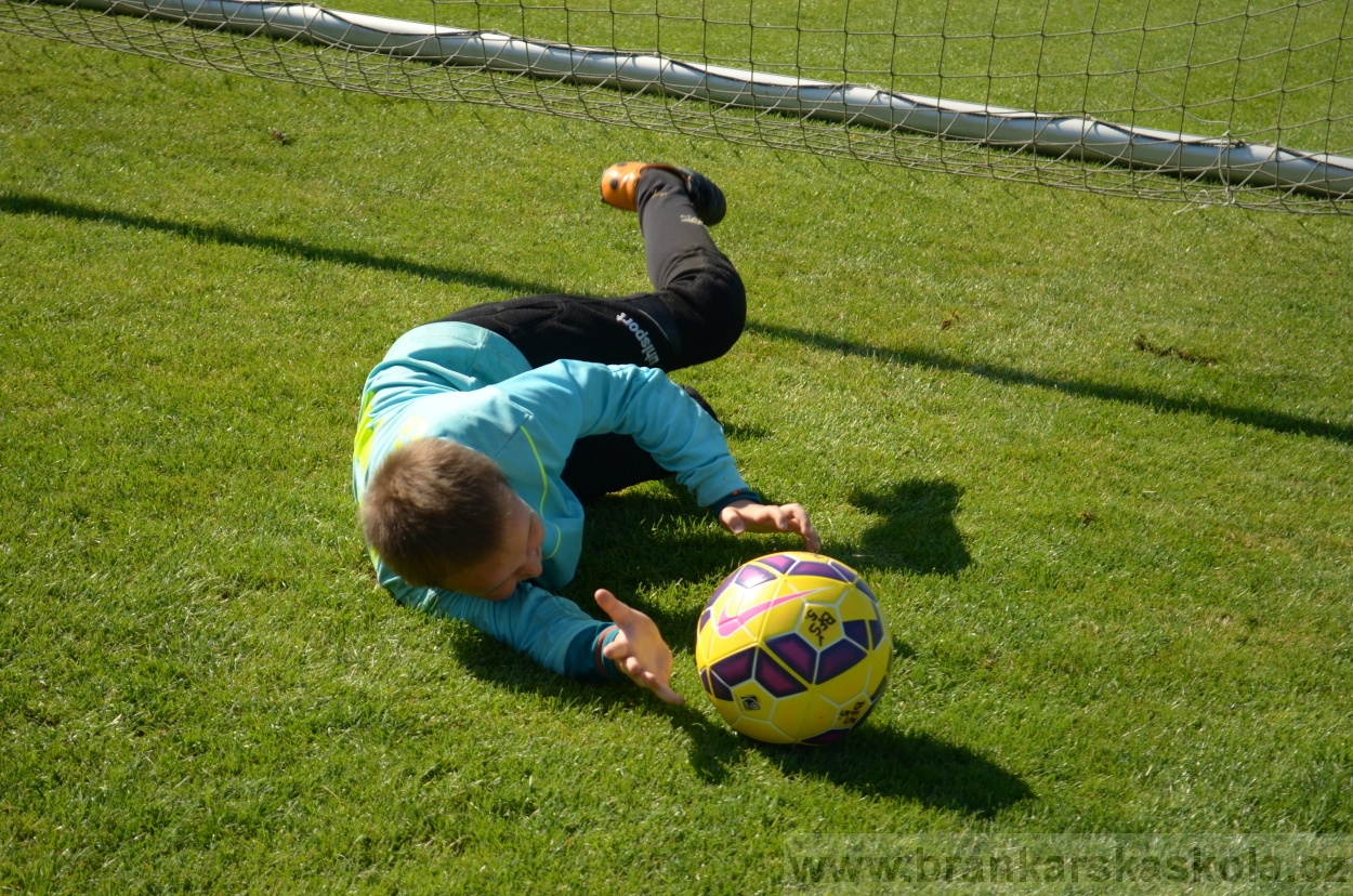 BFŠJCH - Léto 2016 - 30.8.2016