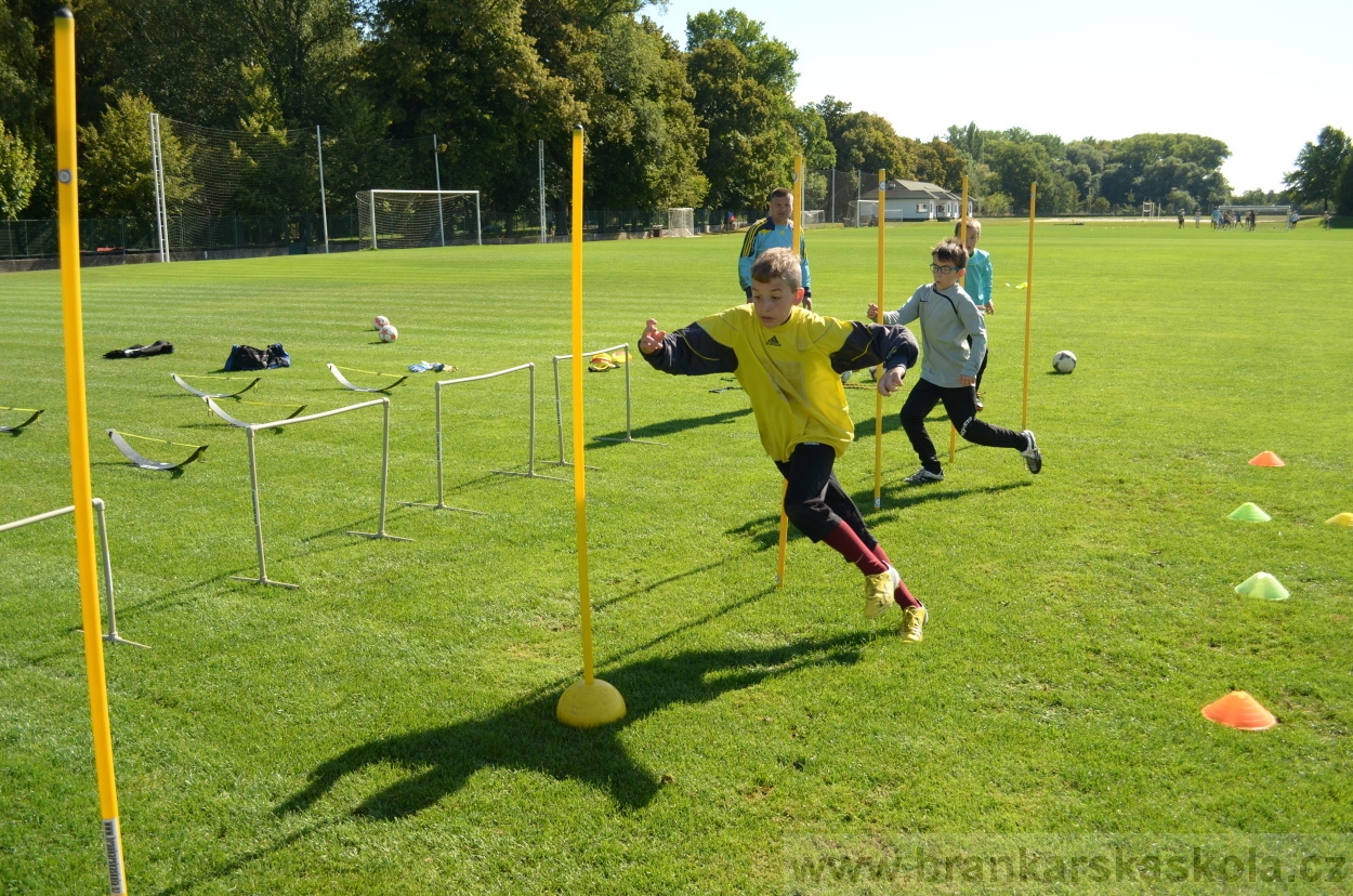 BFŠJCH - Léto 2016 - 30.8.2016