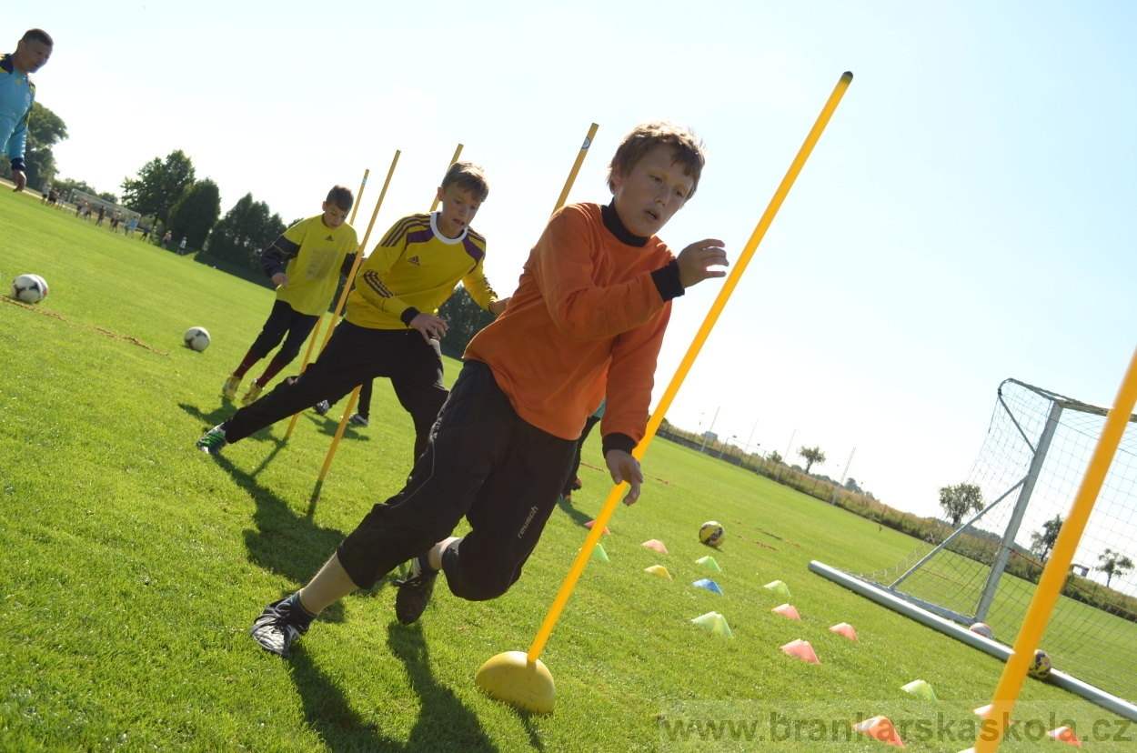 BFŠJCH - Léto 2016 - 30.8.2016