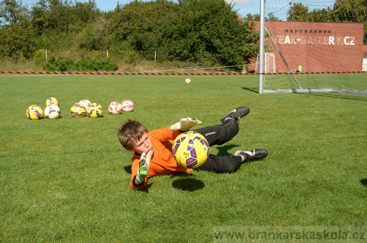 BFŠJCH - Léto 2016 - 30.8.2016