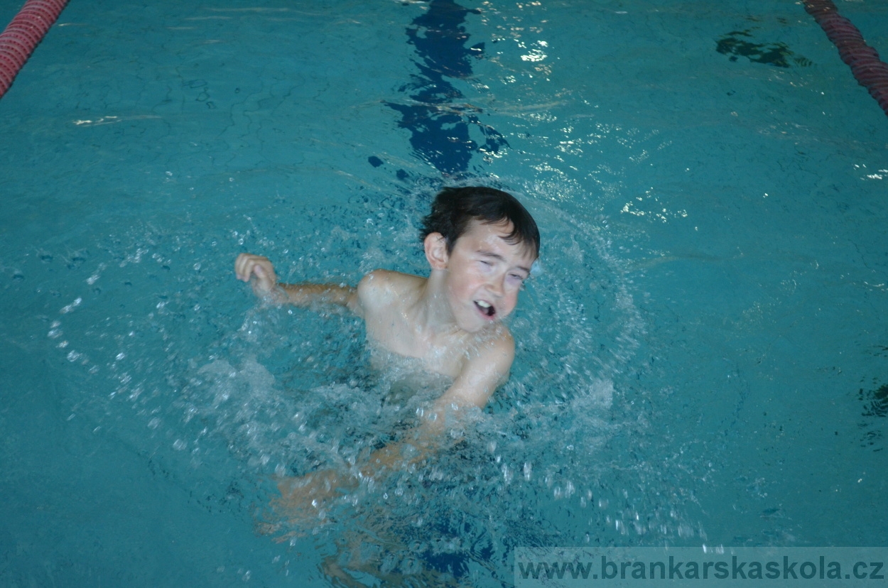 BFŠJCH - Léto 2016 - 30.8.2016