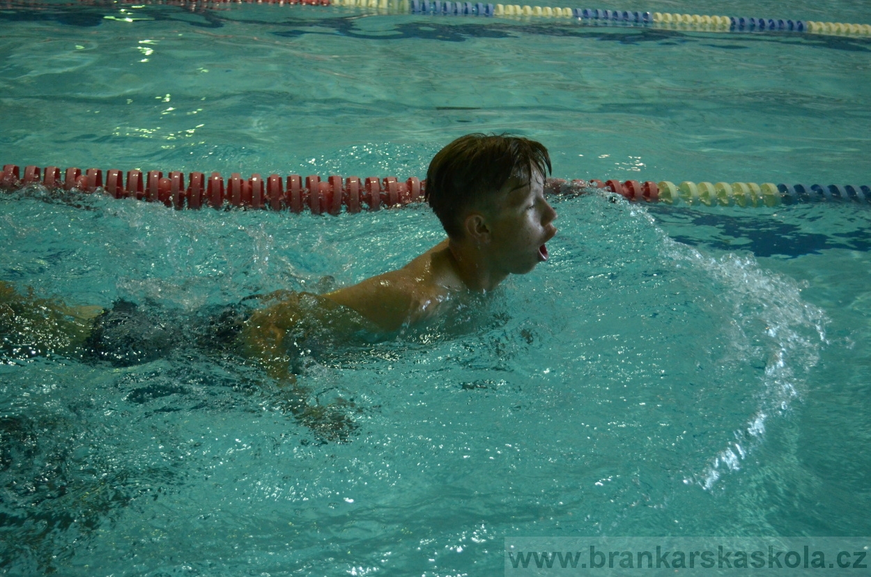 BFŠJCH - Léto 2016 - 30.8.2016