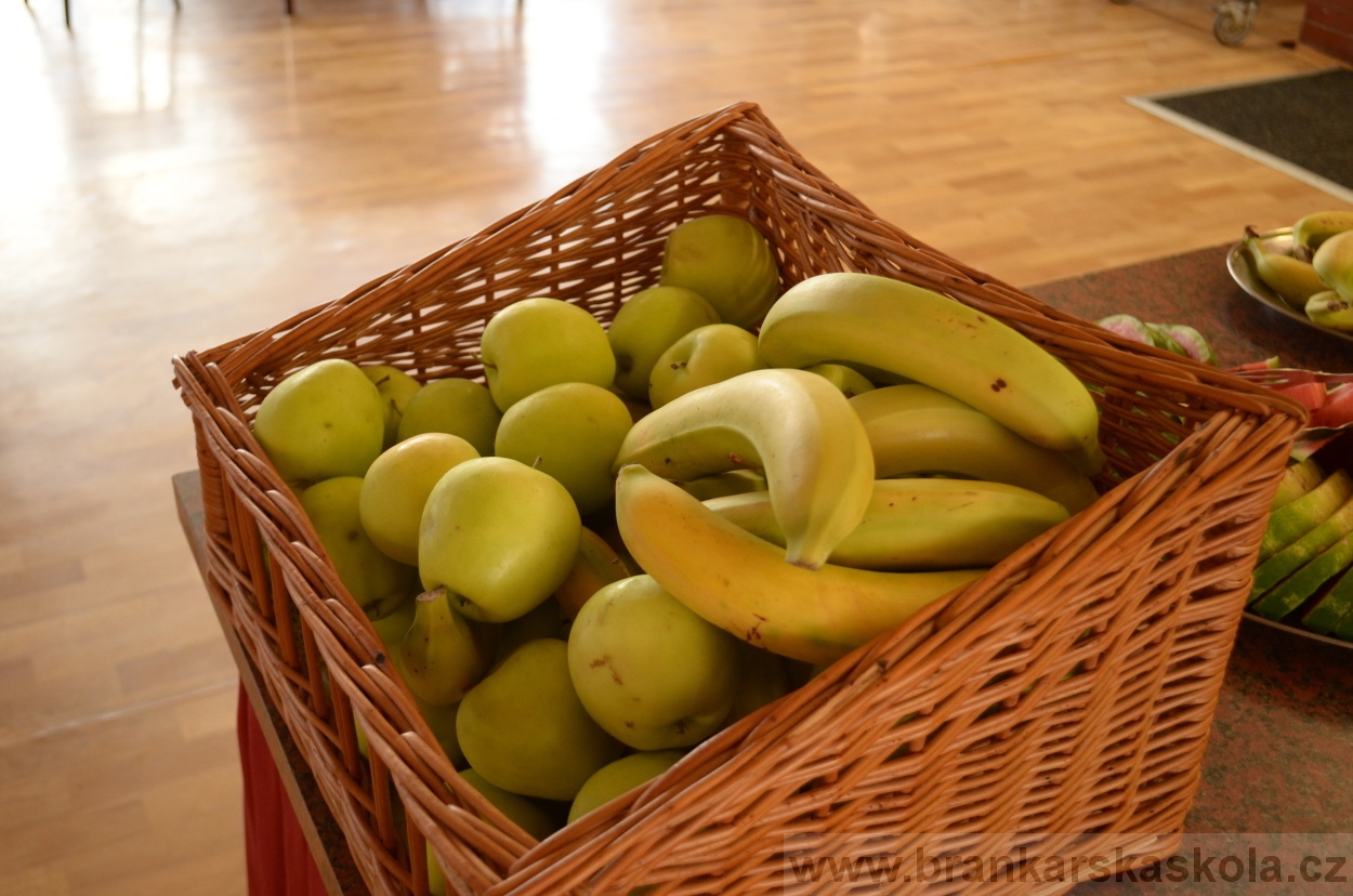 BFŠJCH - Léto 2016 - 30.8.2016