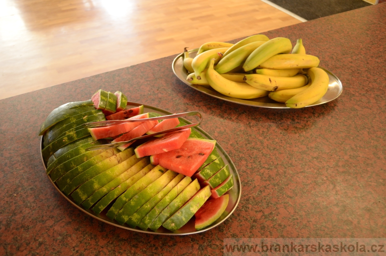 BFŠJCH - Léto 2016 - 30.8.2016