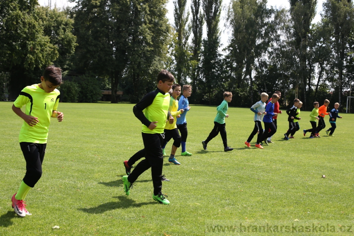 BFŠJCH - Léto 2017 - 27.7.2018