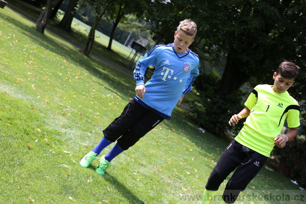 BFŠJCH - Léto 2017 - 27.7.2018