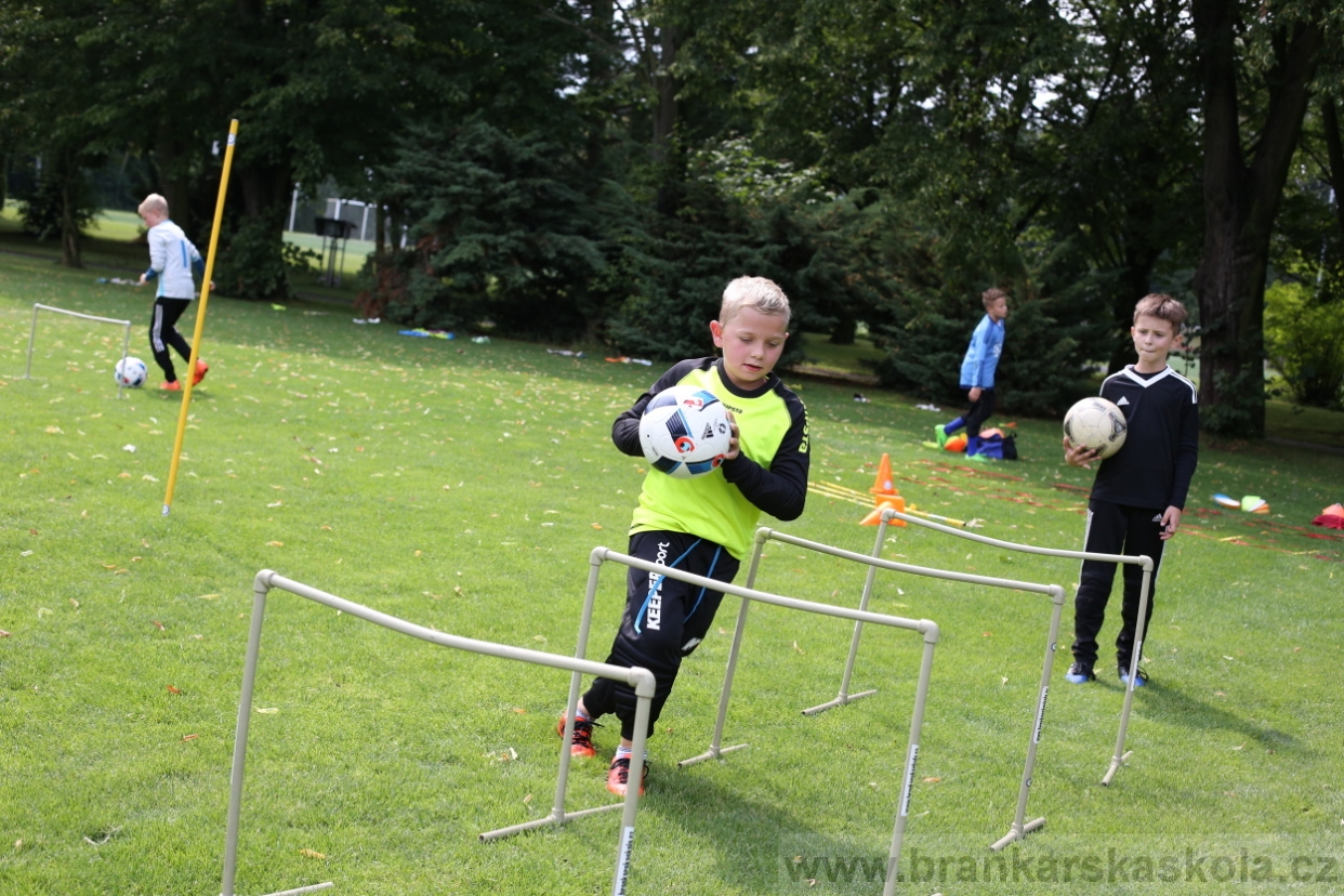 BFŠJCH - Léto 2017 - 27.7.2018