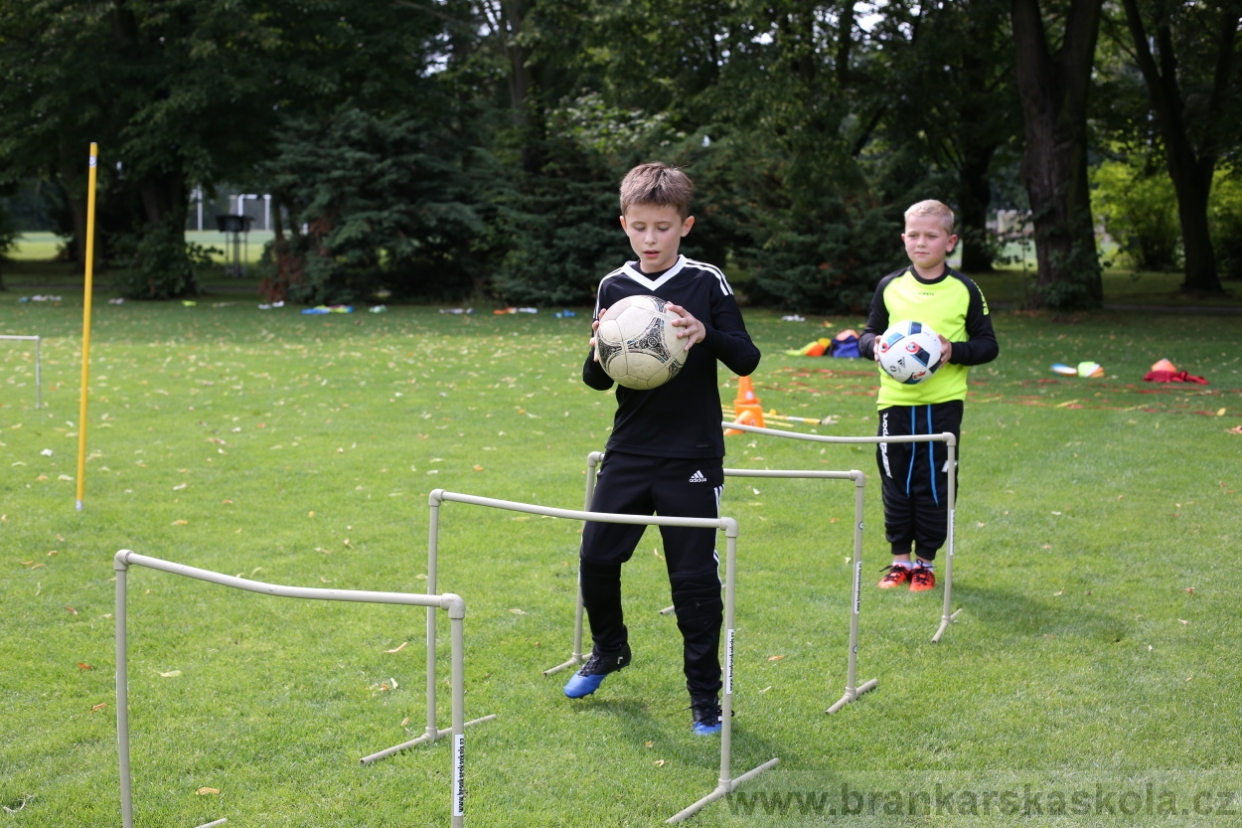 BFŠJCH - Léto 2017 - 27.7.2018
