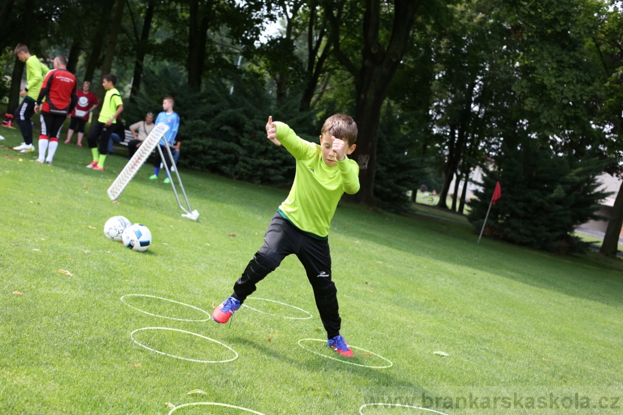 BFŠJCH - Léto 2017 - 27.7.2018