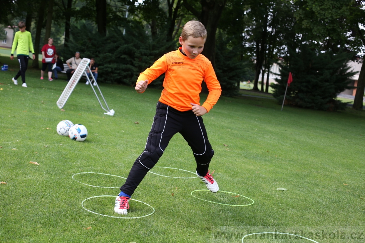 BFŠJCH - Léto 2017 - 27.7.2018