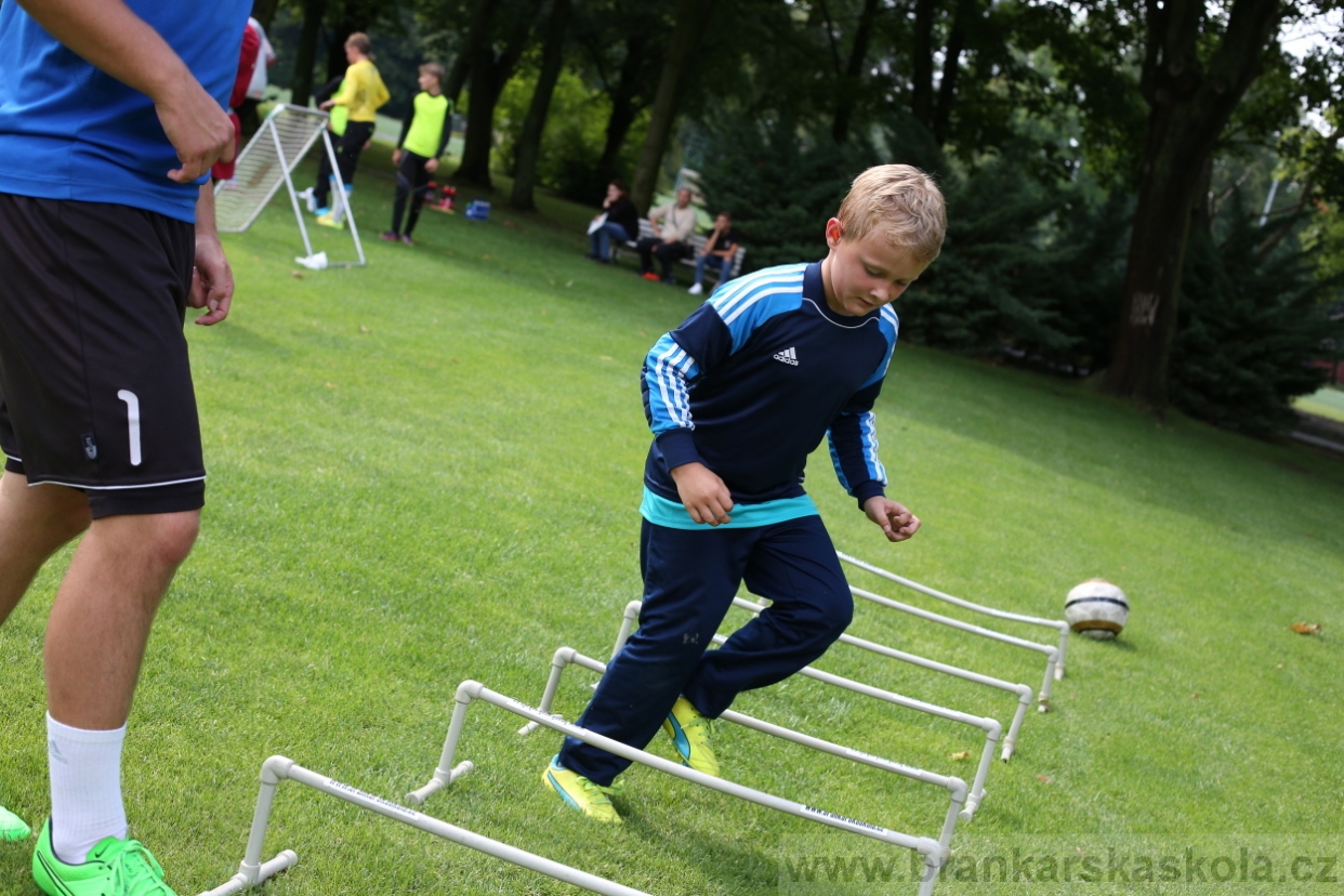 BFŠJCH - Léto 2017 - 27.7.2018