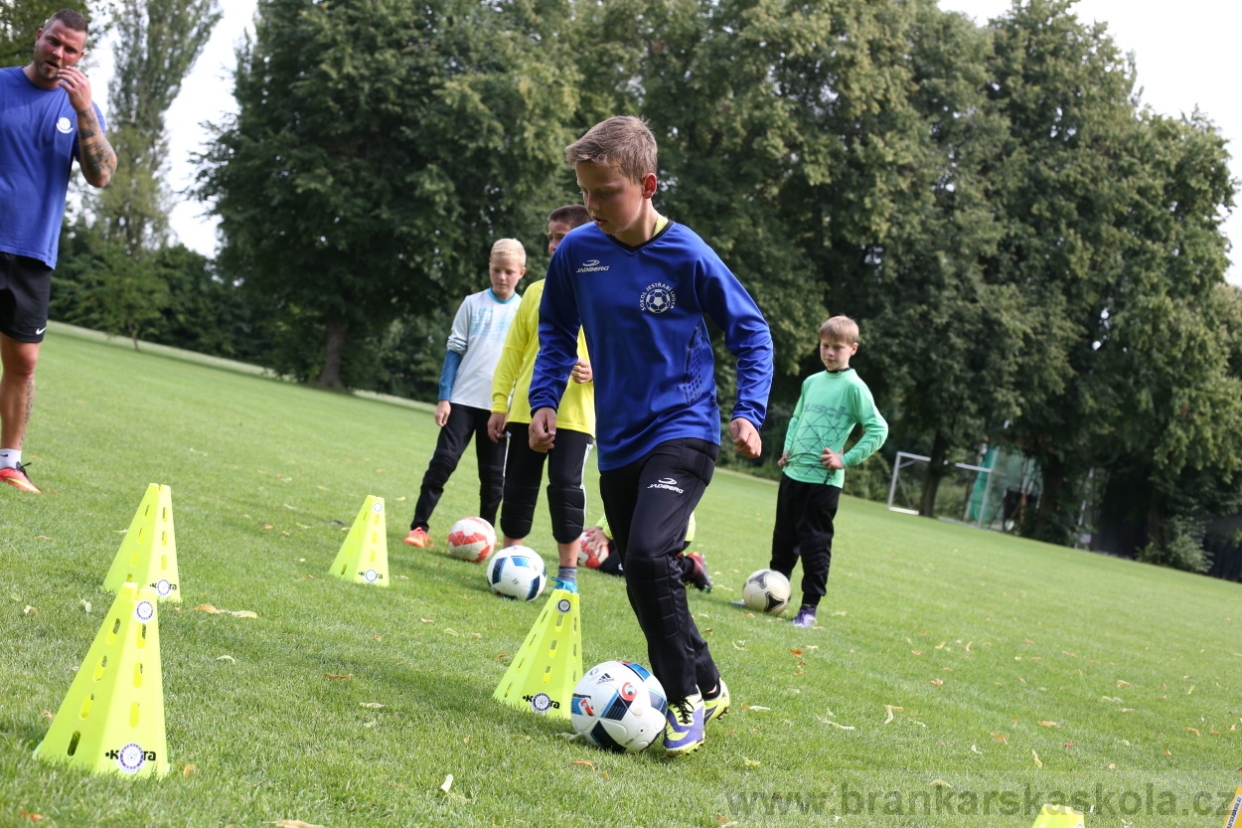 BFŠJCH - Léto 2017 - 27.7.2018