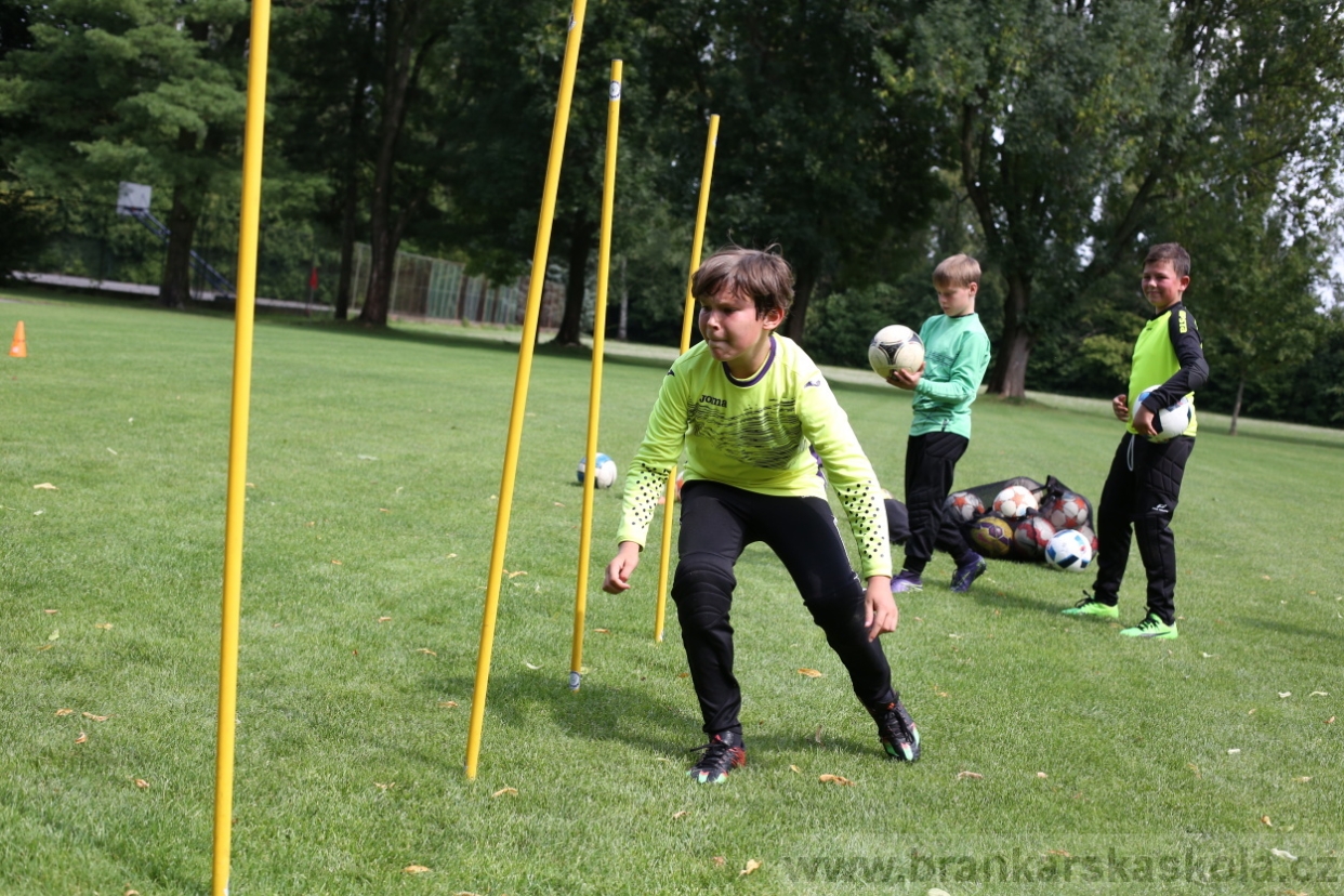 BFŠJCH - Léto 2017 - 27.7.2018