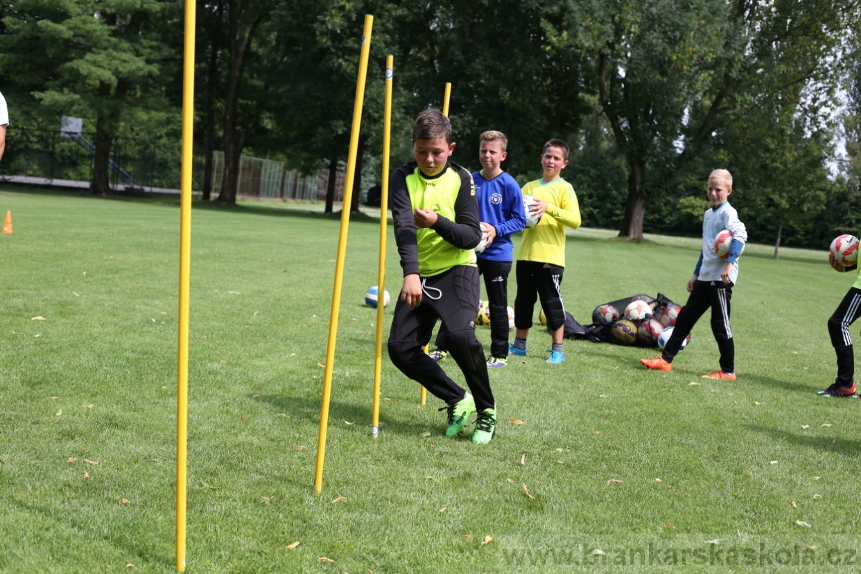 BFŠJCH - Léto 2017 - 27.7.2018