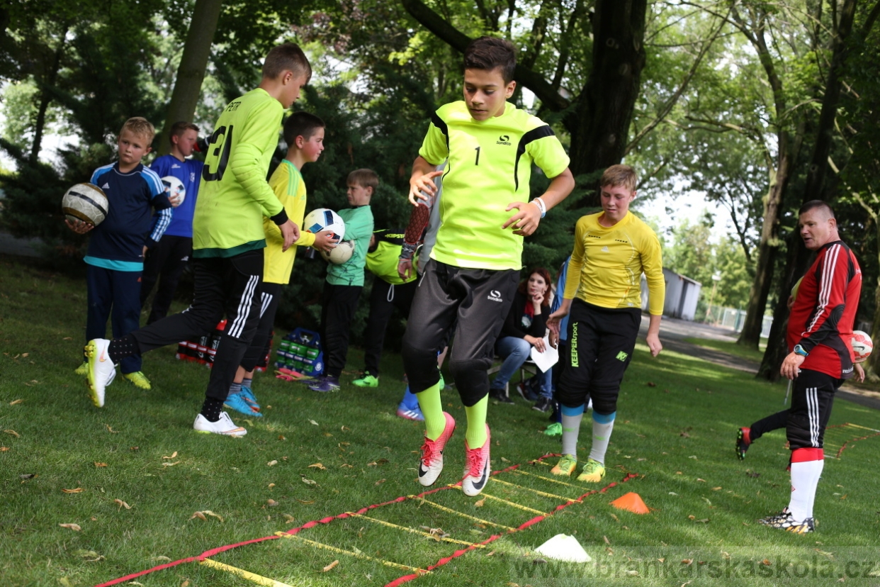 BFŠJCH - Léto 2017 - 27.7.2018