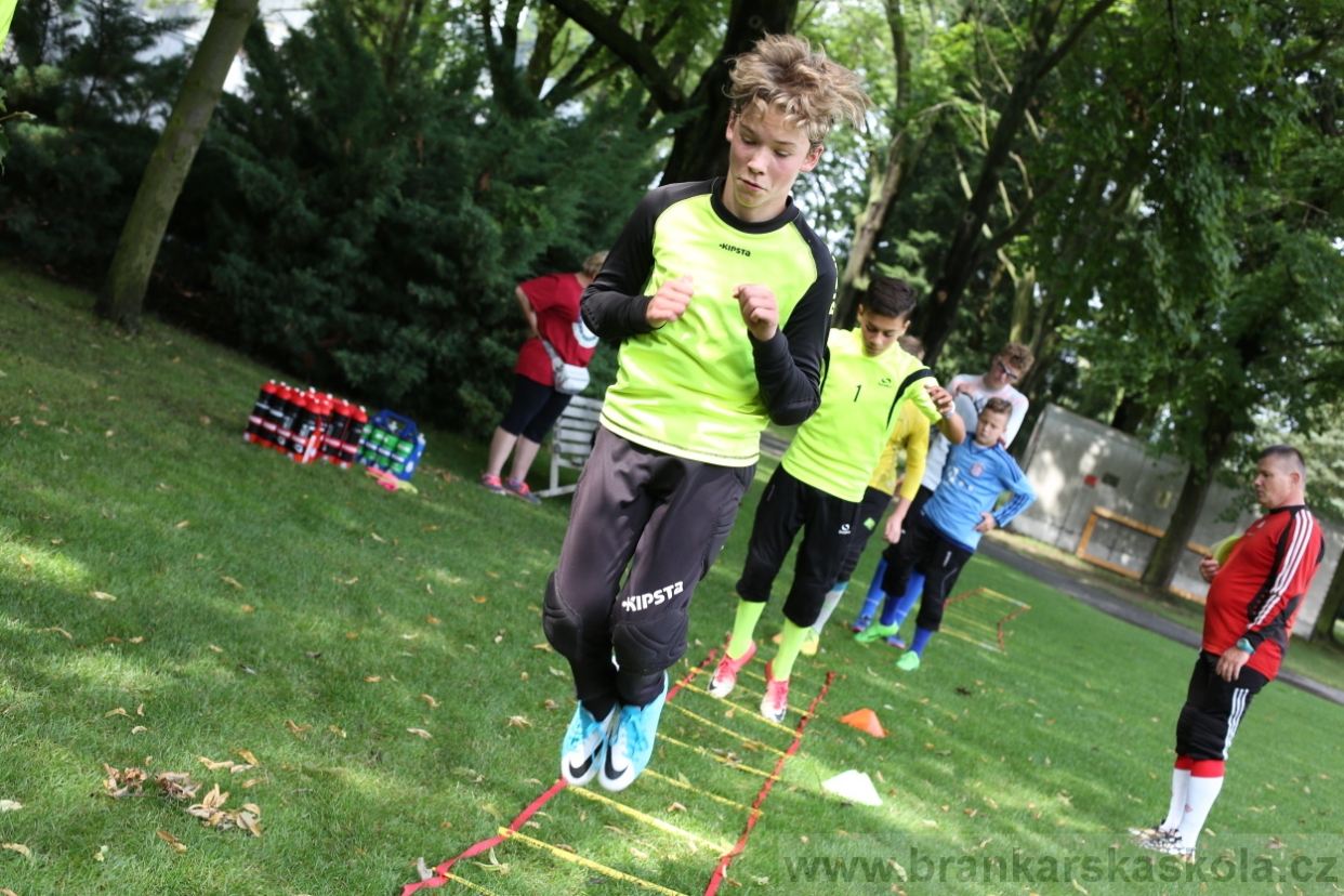 BFŠJCH - Léto 2017 - 27.7.2018