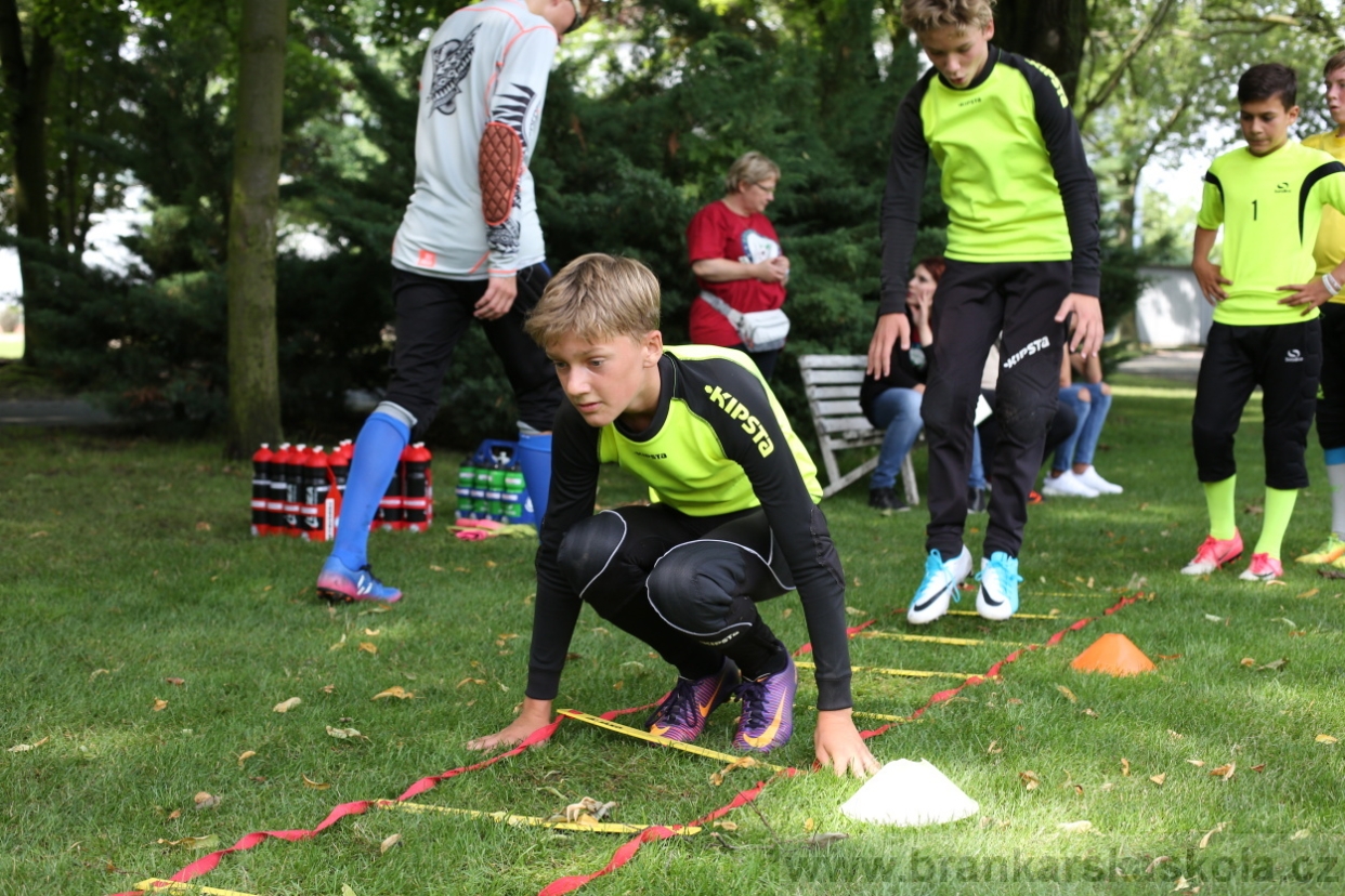 BFŠJCH - Léto 2017 - 27.7.2018