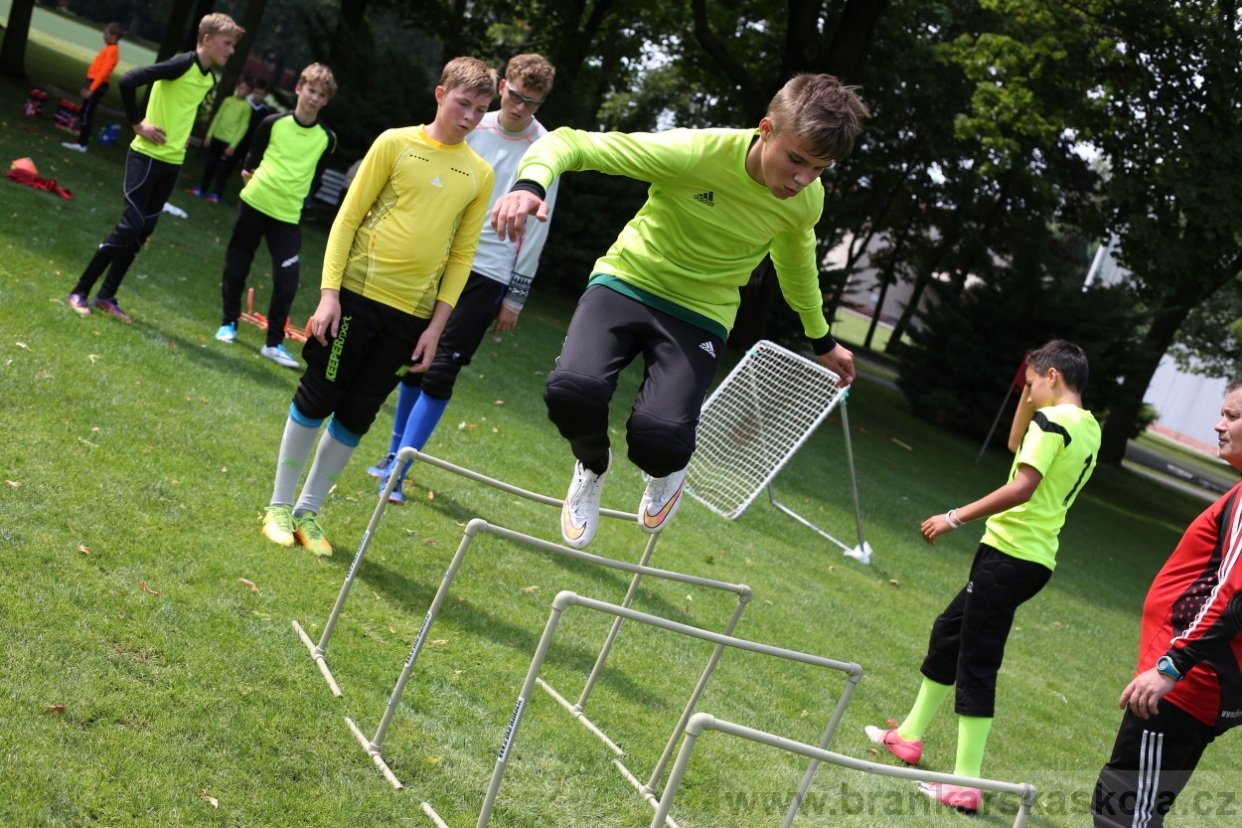 BFŠJCH - Léto 2017 - 27.7.2018