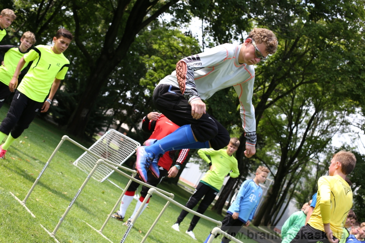 BFŠJCH - Léto 2017 - 27.7.2018