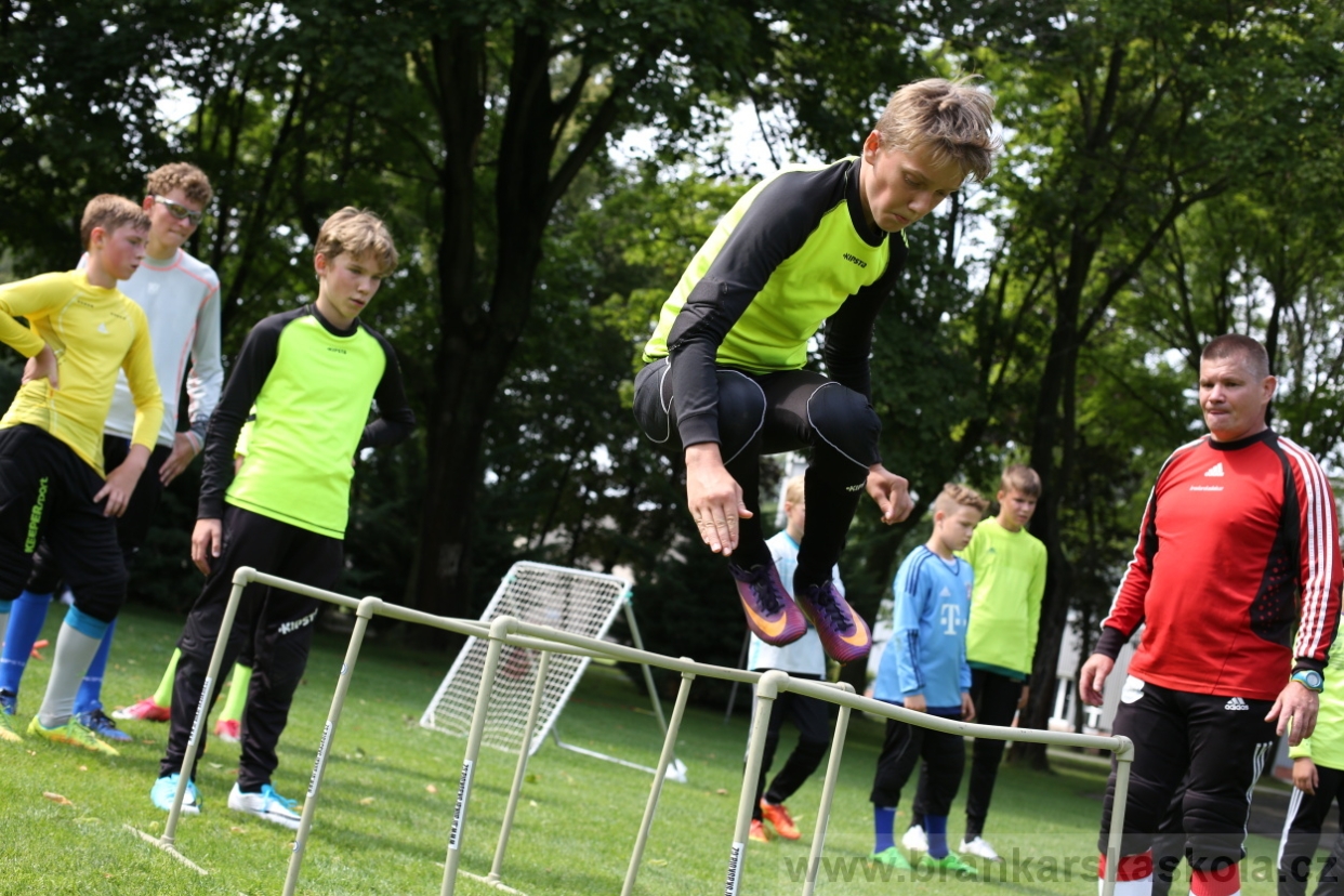 BFŠJCH - Léto 2017 - 27.7.2018