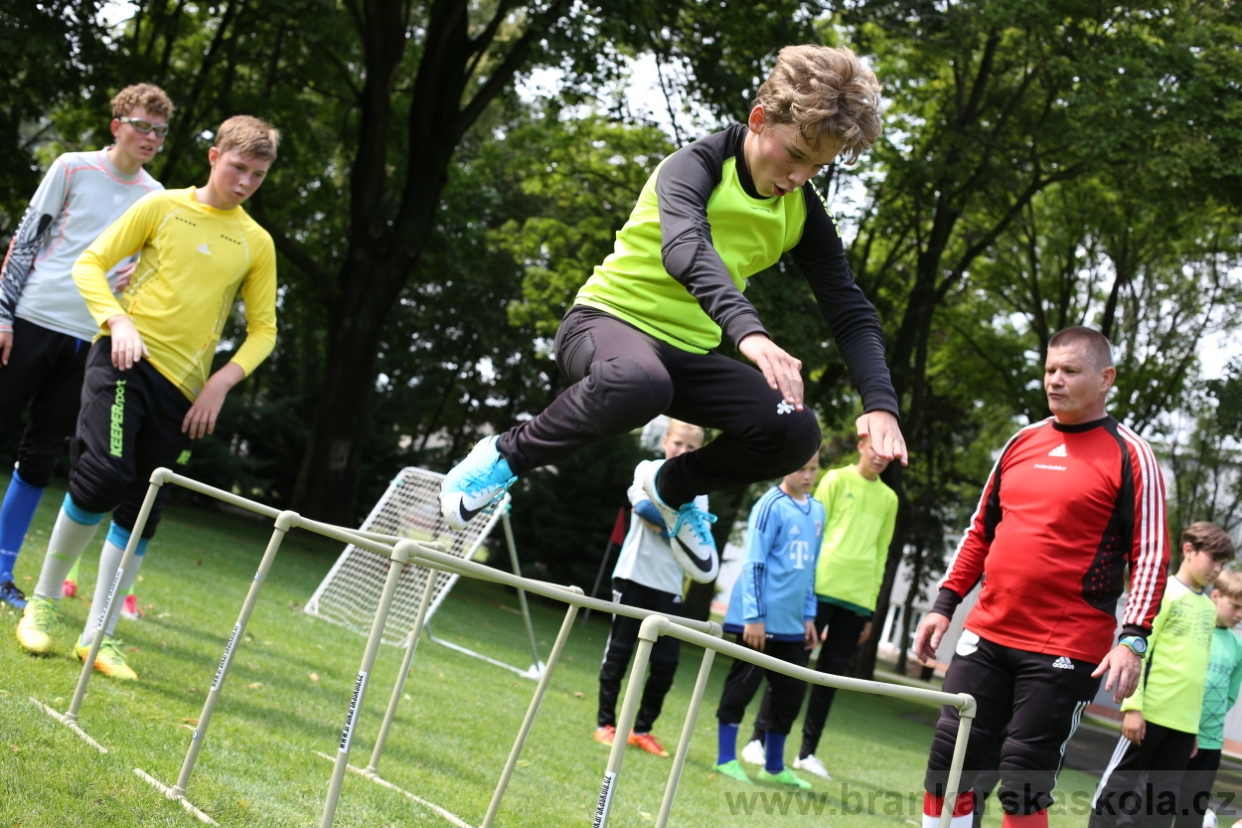 BFŠJCH - Léto 2017 - 27.7.2018