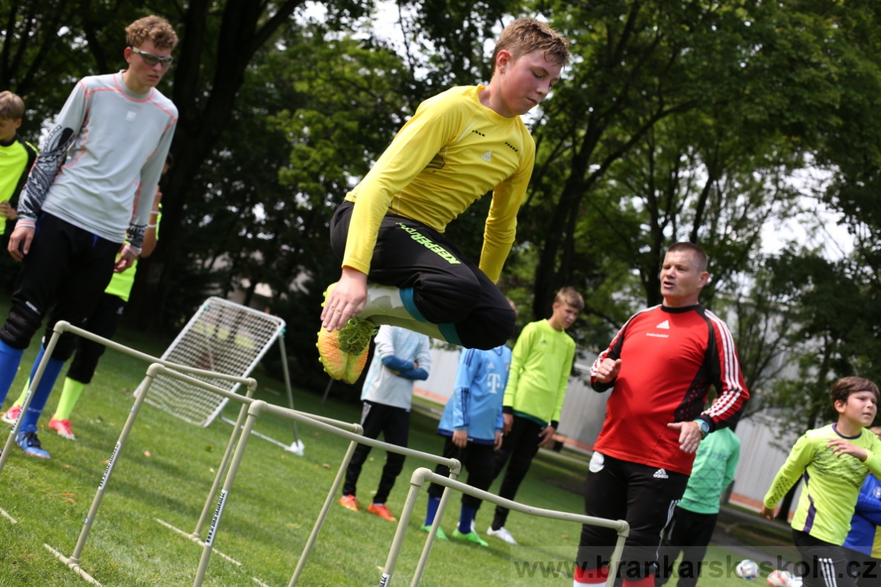 BFŠJCH - Léto 2017 - 27.7.2018