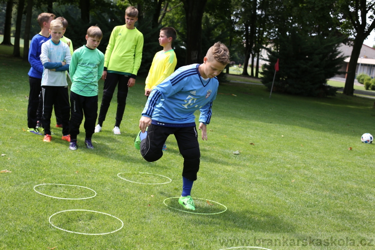 BFŠJCH - Léto 2017 - 27.7.2018