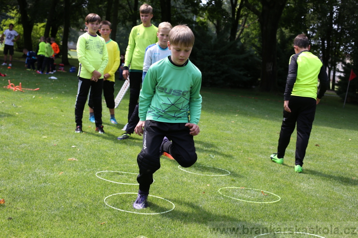 BFŠJCH - Léto 2017 - 27.7.2018