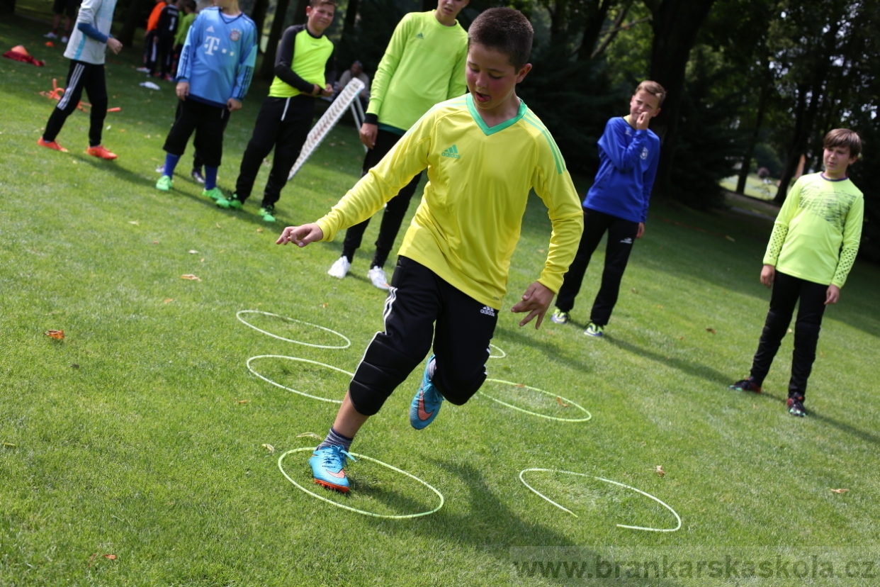 BFŠJCH - Léto 2017 - 27.7.2018