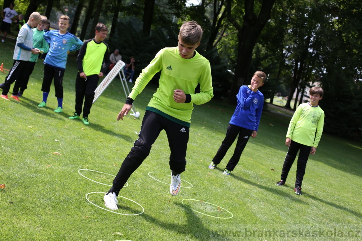 BFŠJCH - Léto 2017 - 27.7.2018