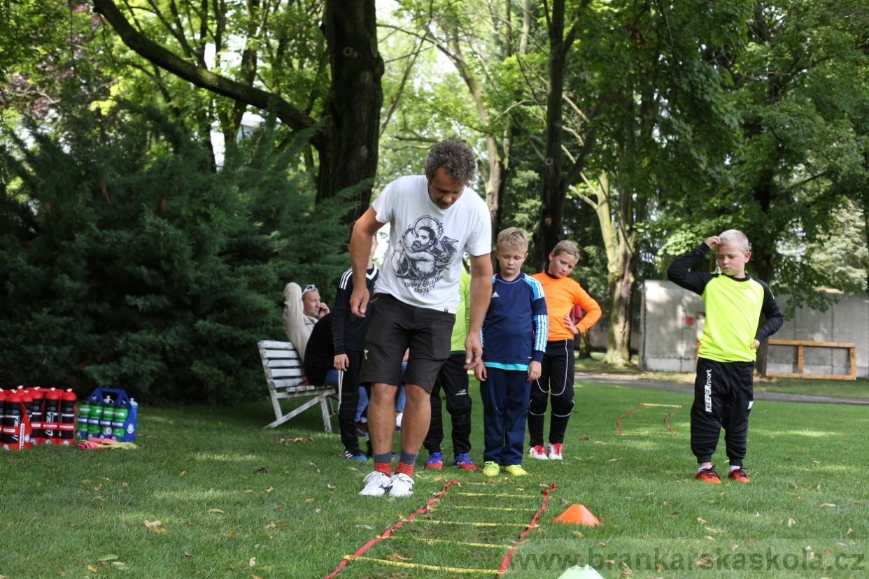 BFŠJCH - Léto 2017 - 27.7.2018