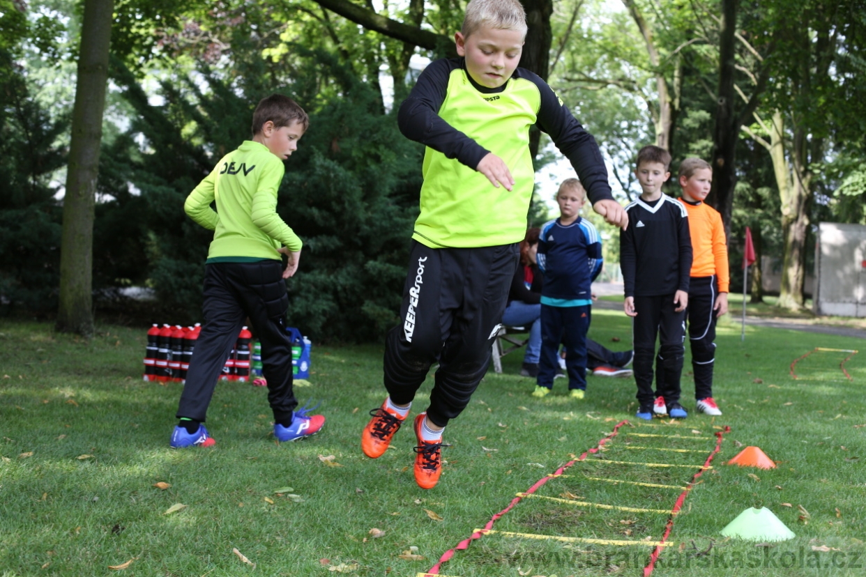 BFŠJCH - Léto 2017 - 27.7.2018