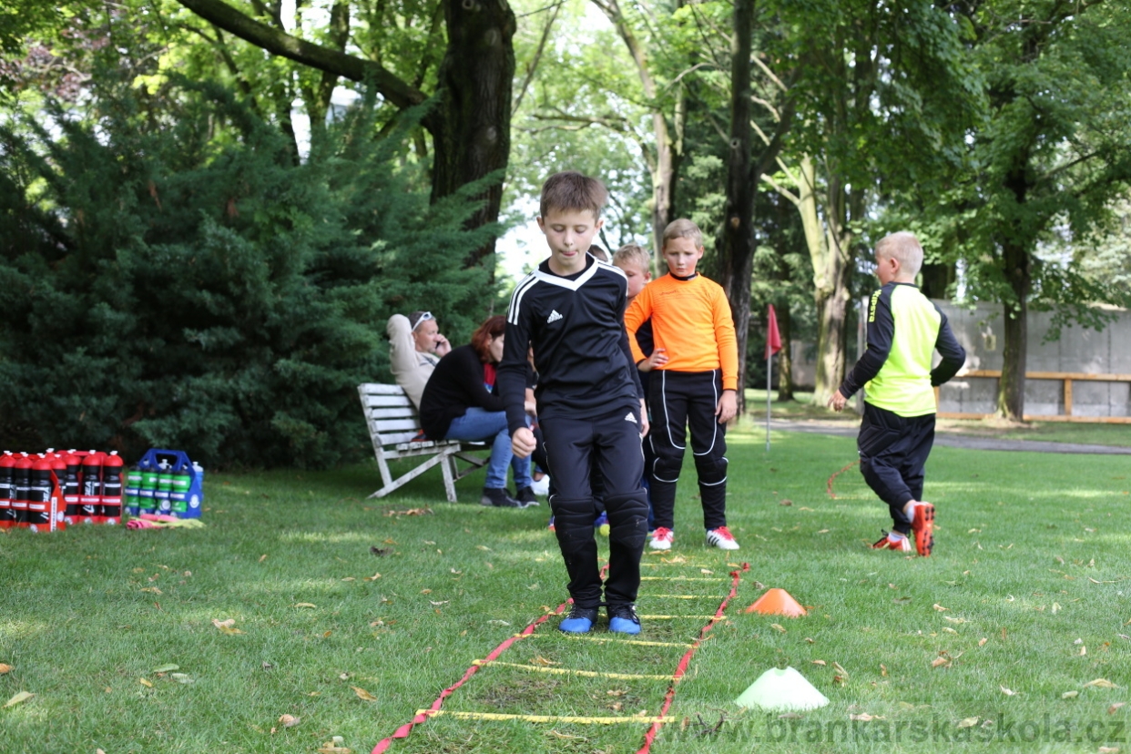 BFŠJCH - Léto 2017 - 27.7.2018