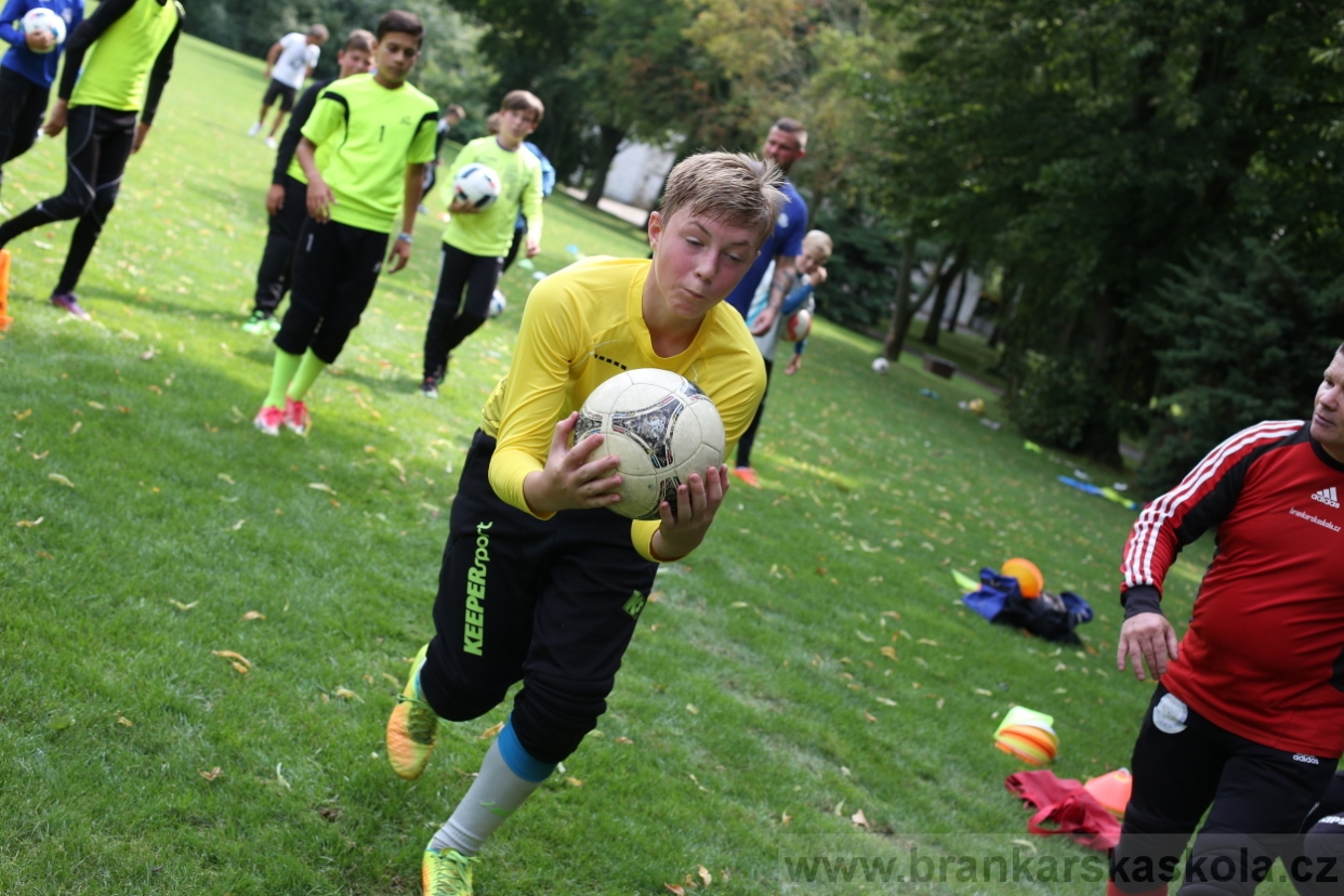 BFŠJCH - Léto 2017 - 27.7.2018