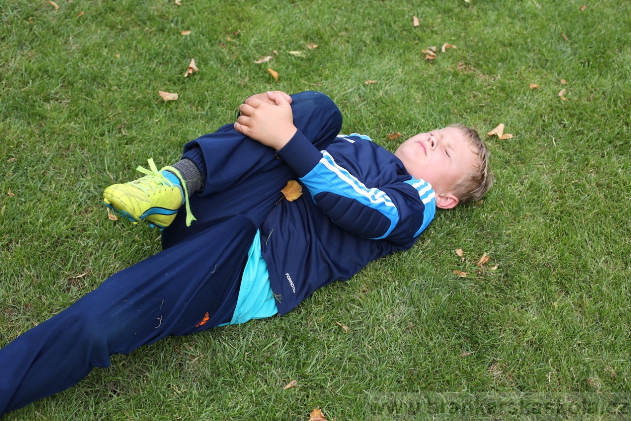 BFŠJCH - Léto 2017 - 27.7.2018