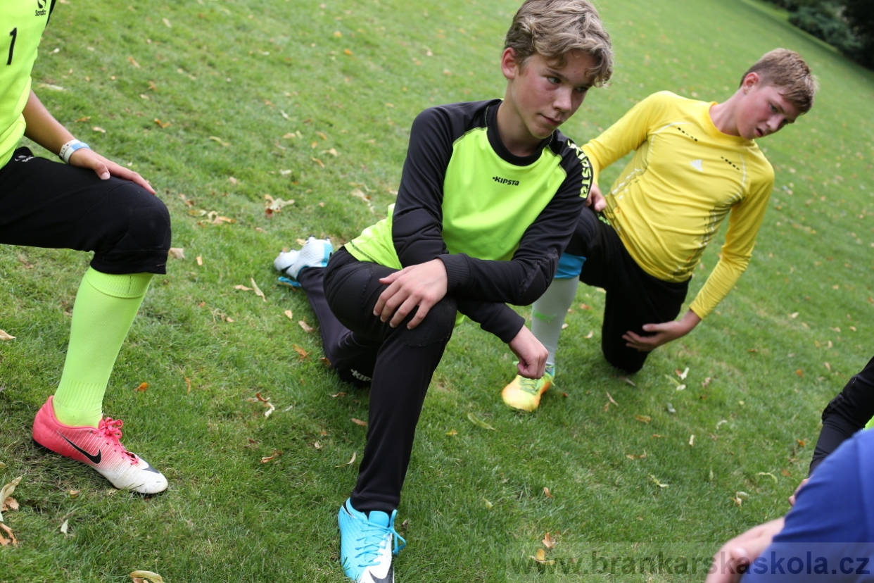 BFŠJCH - Léto 2017 - 27.7.2018